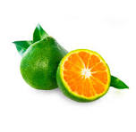 Green Mandarin